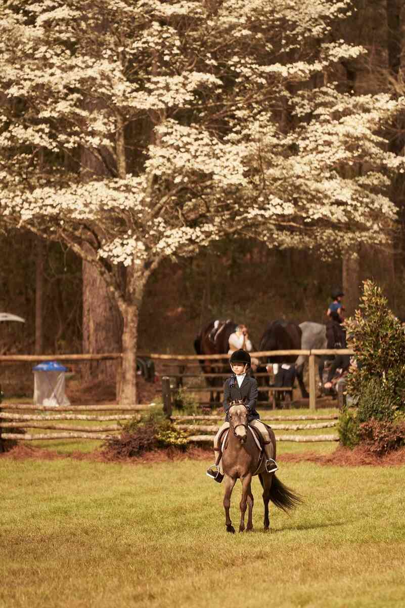 Child in hunt attire riding a pony in a field