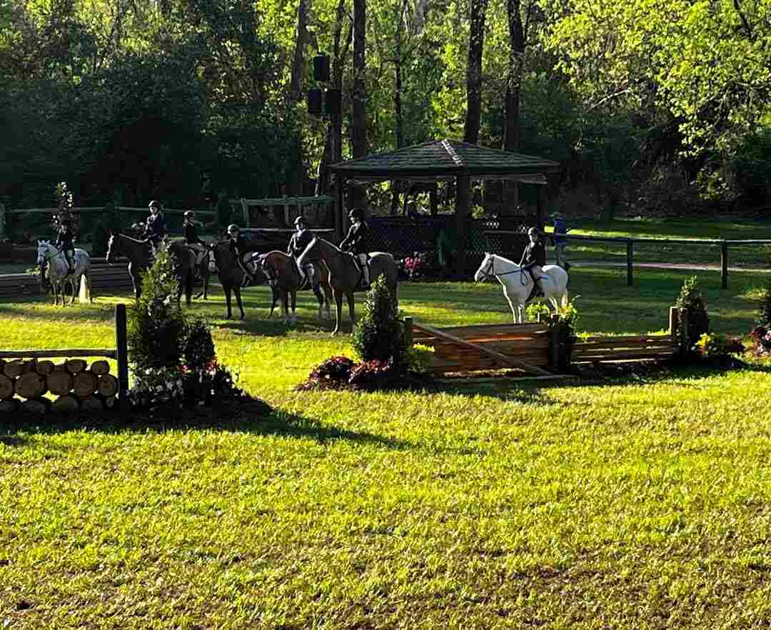 Several horses and riders in field with jumps and a pavilion in background.